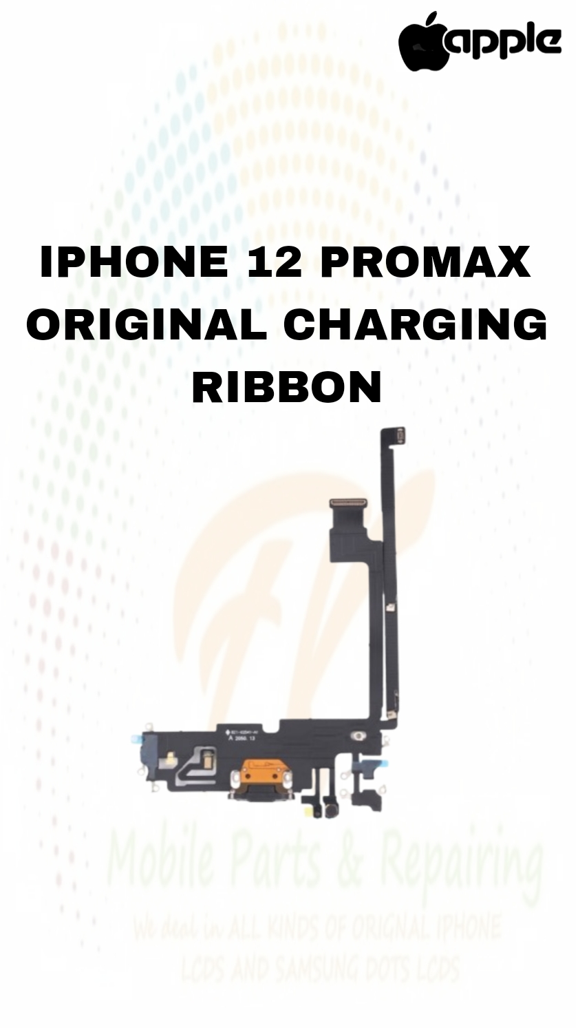 Picsart_25-02-19_16-29-26-275